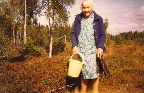 Emma Andersson i lingonskogen