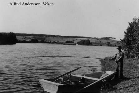Alfred Andersson, Hede 231 Andreasa