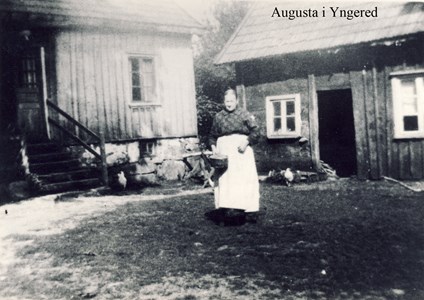 Augusta på gårdsplanen i Yngered 102