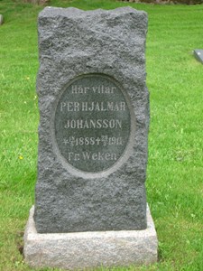Per Hjalmar Johansson, Hede 229