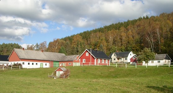 Askome Jutagård 524