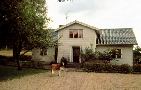Hede 224, Askome, 1990.
