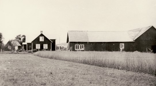 Hede 231, Askome, fotograferad omkring 1935. Gården ägdes då av Julle (Julius) och h h Lisa Troedsson. Gården fotograferad från söder. I fotots vänstra kant syns Päars torpstuga, strax innan den revs. Torpet var den ursprungliga bebyggelsen på platsen från 1825
