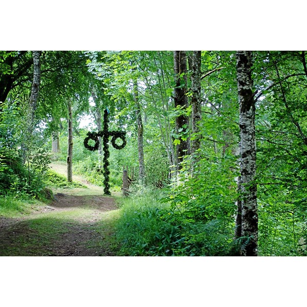 Midsommarfirande i Hamra Hembgdspark