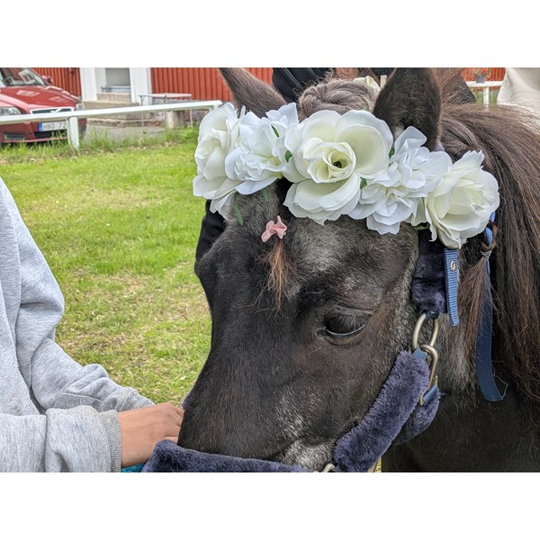 Har blommor i håret... :-)