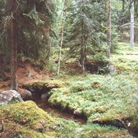 Lyckebacken Näsby