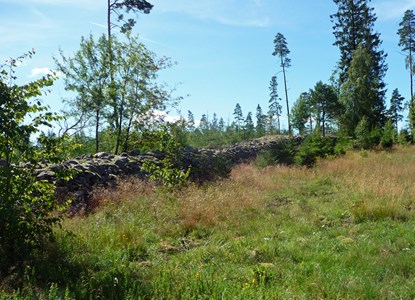 Stenmuren i Galtabo