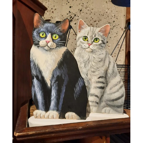 Katter 2022-12-29