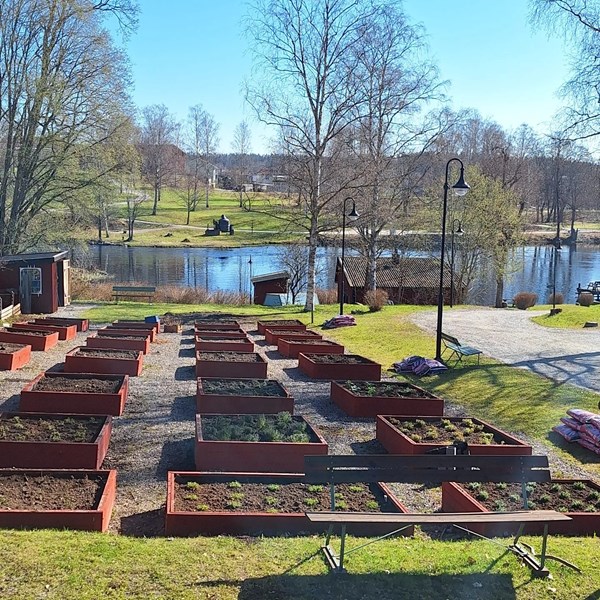 Blomlådor i maj 2024-05-07