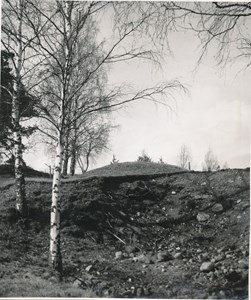 Gravfält vid Himlinge 1954
