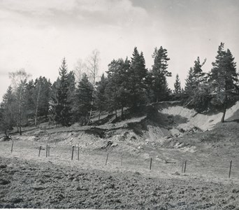 Grustag vid Himlinge 1954