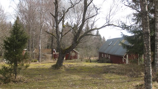 Rammsjöberg
