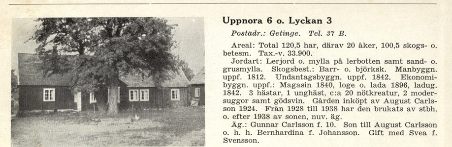 Lyckan bild från Gods o Gårdar 1939