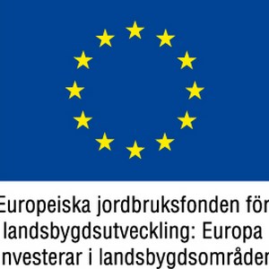 EU-logga