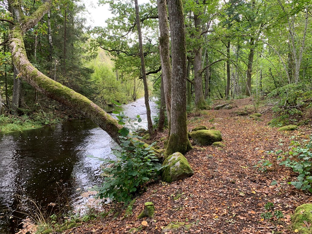 Delary kultur och naturstig