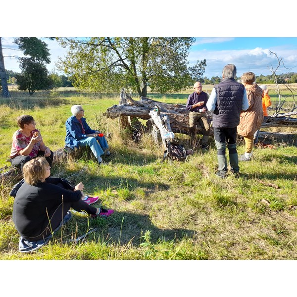 Fika i höstsolen