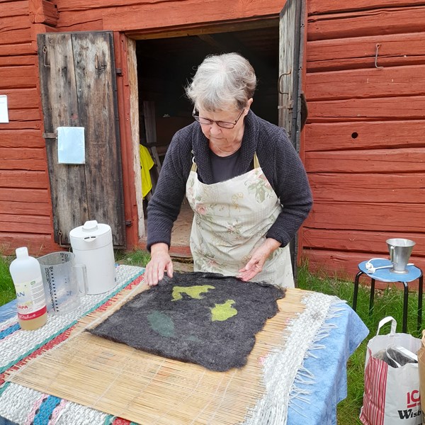 Ulltovning på Sörmlandsgården