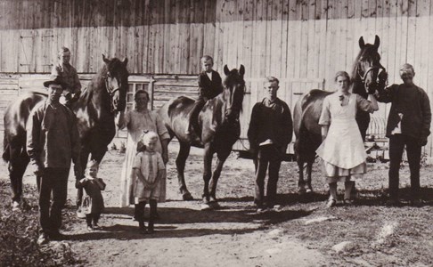 Gärdsnäs Nedre Familj med hästar
