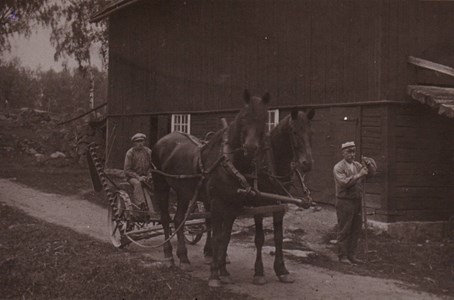 Häst och slåttermaskin år 1924