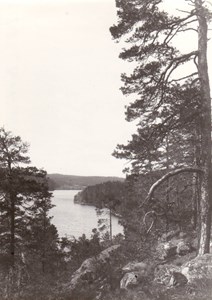 Grävsjön från Dommarvik