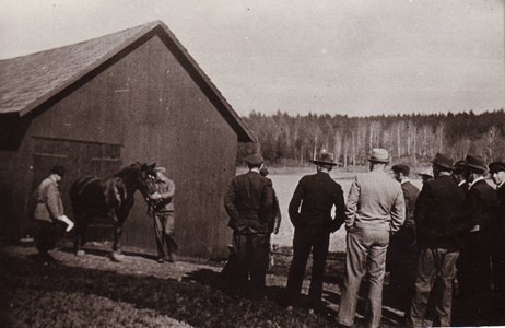 Hästuppvisning våren 1942