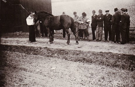 Hästuppvisning 1942