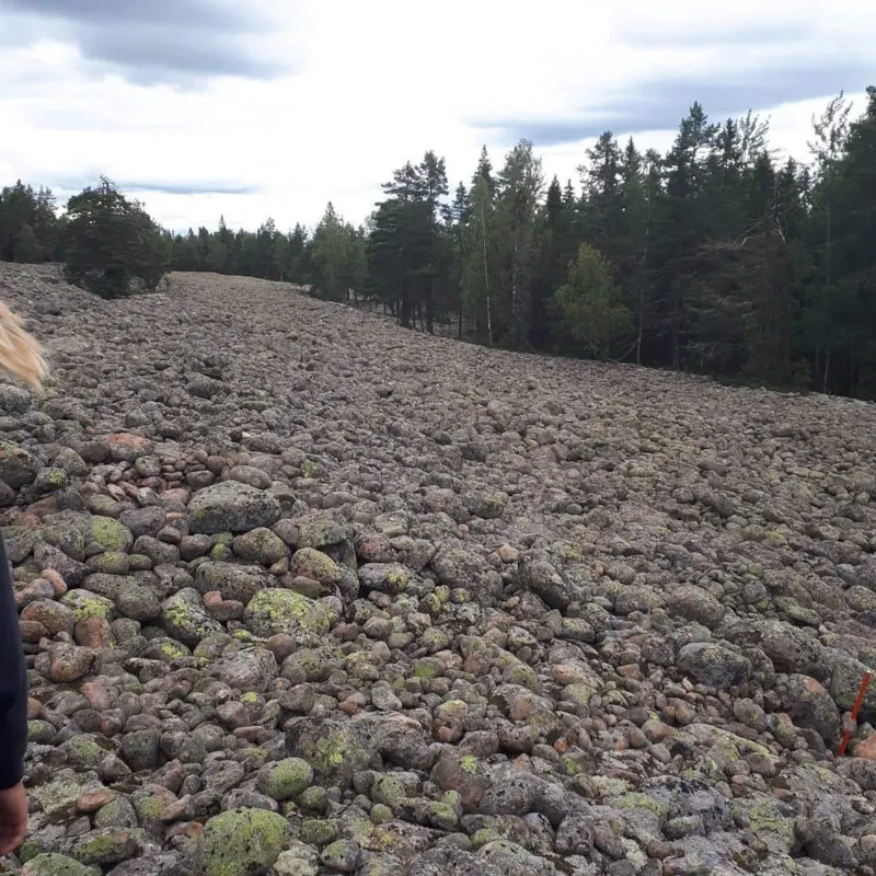 Stenörn, Järnblästen, Ilsbo