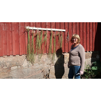 Linet ska torka en tid