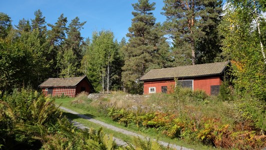 Falla Björkeberg 255 Skyllberg Uthus