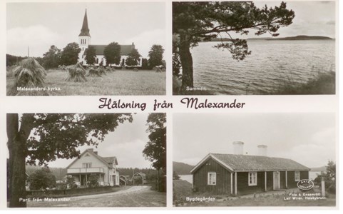 Malexander 1954