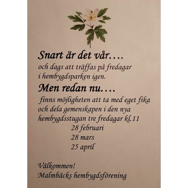 Fredagsfika