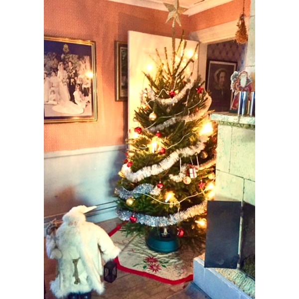 Julgran