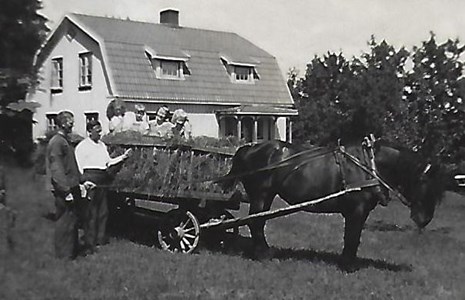 Högaberg, hästen Bojan med barn i skrindan