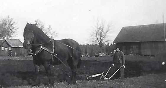 Högaberg, Eskil Adamsson med hästen Bojan