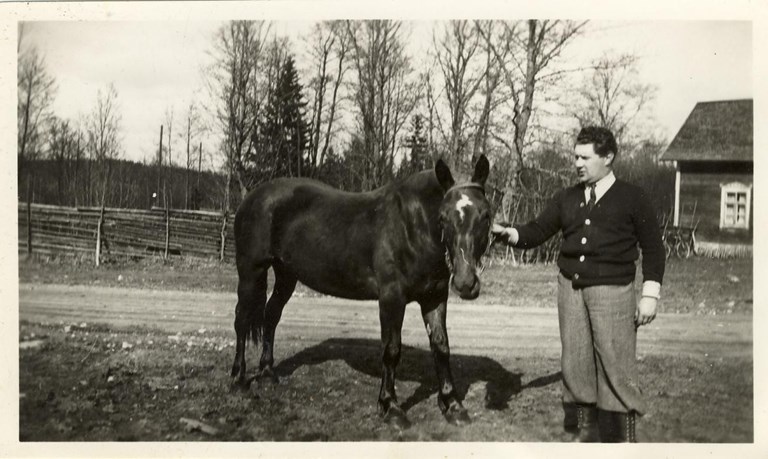 Qishloq qizlarining katta eshaklari