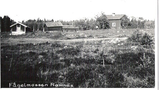 Fågelmossen 1936.