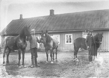 Edvin Olandersson, Nils Olsson och Einar Olsson på hästryggen