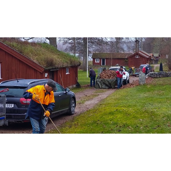 Lövräfsning hösten 2022