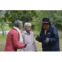 Ingrid Öhlund, Irené Arvidsson, Alf Gustavsson Härna