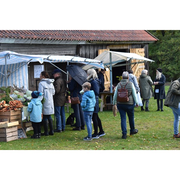 Många besökare kring borden