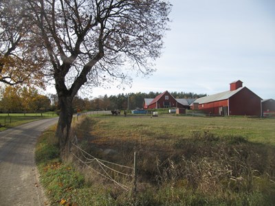 Ekonomibyggnader på Ulriksbergs