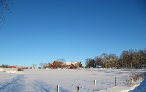 Edeby gård 2017
