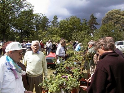 Växtmarknad hos Melker Lundkvist på Håsta kvarn år 2000