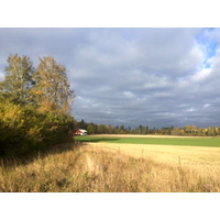 Fjuckby höst