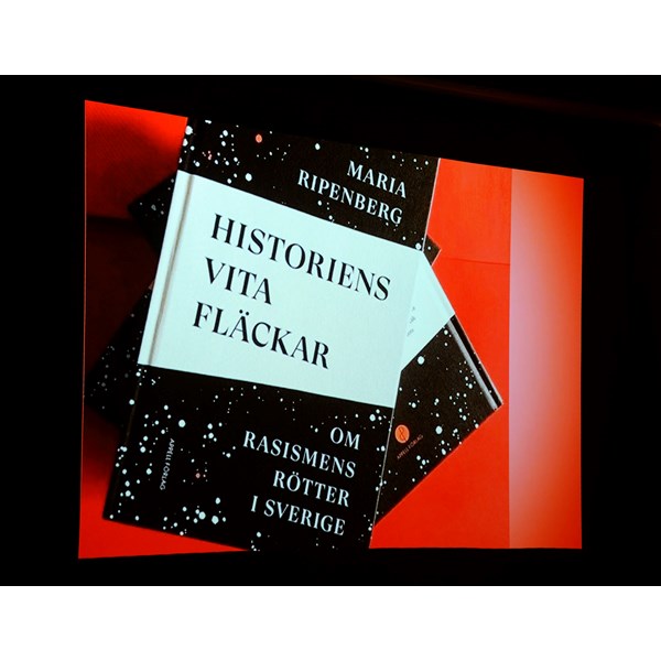 Boken Historiens vita fläckar
