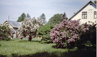 Bror Hjalmar Melker Malm bor i Eskelhem, Gotlands Tofta tillsammans med Karin Malm. Bostaden ligger ca sex minuters cykelvg (1758 meter) frn vattnet. Bror Hjalmar Melker Malm, Eskelhem Tjuls 909 - Hitta