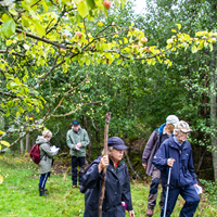 Arnmans fruktträdgård