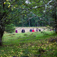 Arnmans fruktträdgård