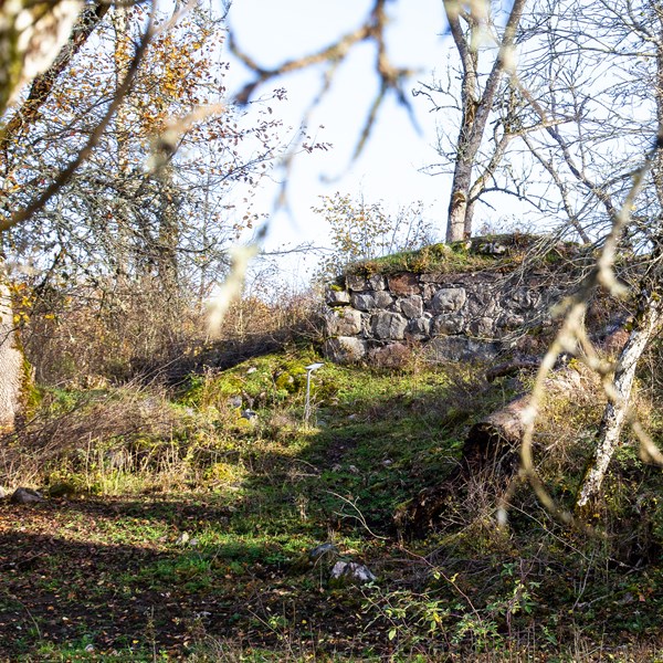 Fågelviks borgruin