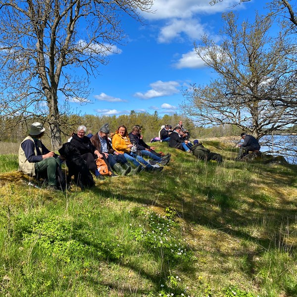 Vårvandring
